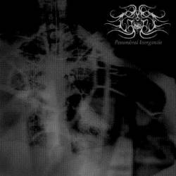 Absonus Noctis : Penumbral Inorgantia